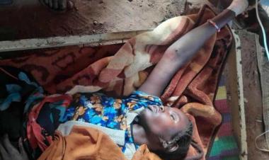 Sudan approves $139 million plan to combat malaria, tuberculosis and HIV