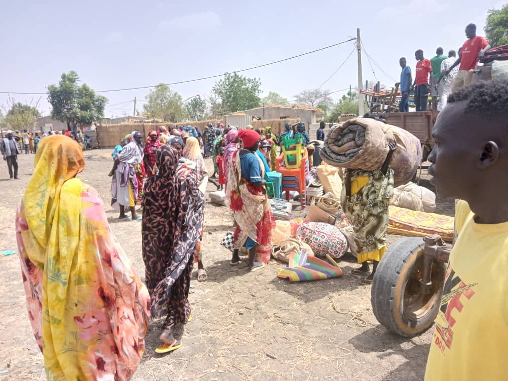 Call for public health emergency amid Dengue outbreak in Sudan’s Blue Nile state