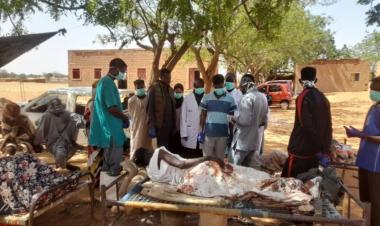 Cholera outbreak worsens in Sudan’s RSF-controlled Kordofan region