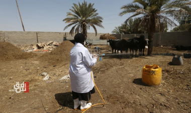 Nineveh reports fresh CCHF infection