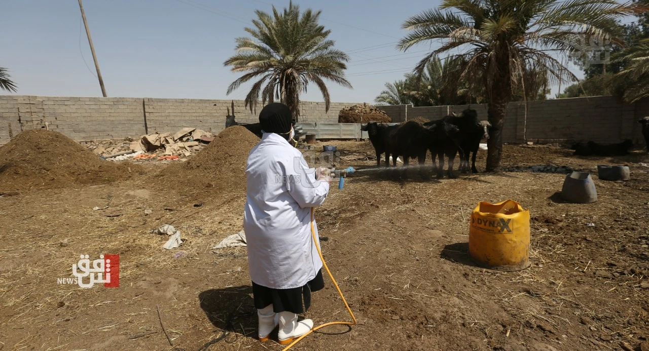 Nineveh reports fresh CCHF infection