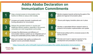 Continental Immunization Strategy (CIS) 2026 – 2030