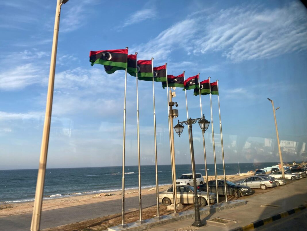 Libya: Dabaiba government and UNDP discuss digitalization of healthcare sector