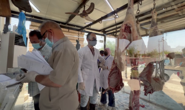 Iraq records 270 hemorrhagic fever cases and 17 deaths this year 