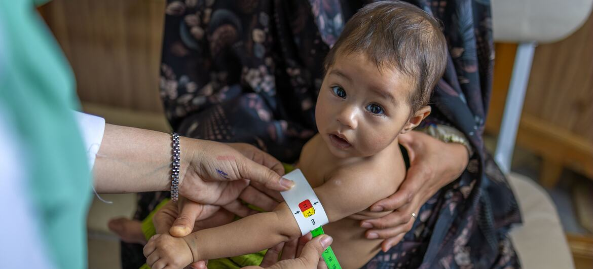 Afghanistan hunger crisis intensifies as millions left without food aid