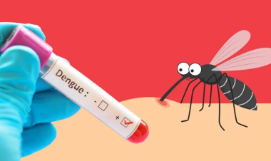 Health officials report 756 fresh cases of dengue infection overnight