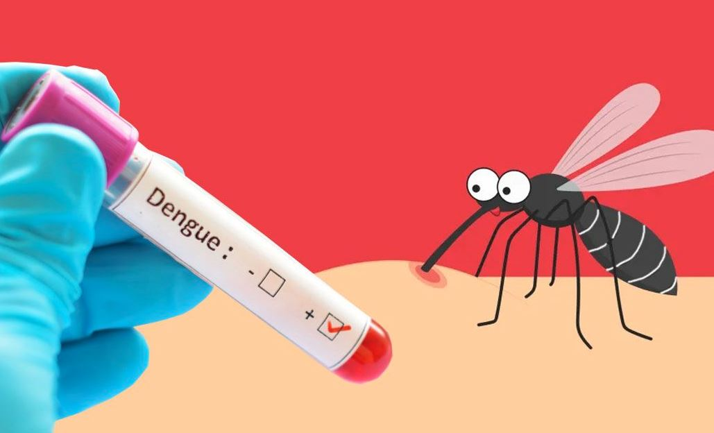 Health officials report 756 fresh cases of dengue infection overnight