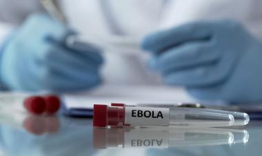 WHO recommends testing Ervebo vaccine against Ebola virus in DR Congo