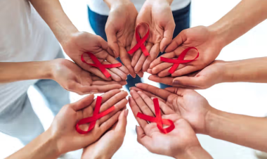 Sexual transmission drives 65% of new HIV cases in Iran