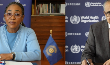 WHO and Commonwealth Secretariat renew partnership to strengthen health systems and advance universal health coverage