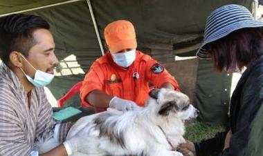 WHO validates Bhutan for eliminating dog-transmitted human rabies