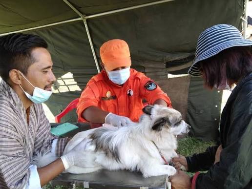 WHO validates Bhutan for eliminating dog-transmitted human rabies