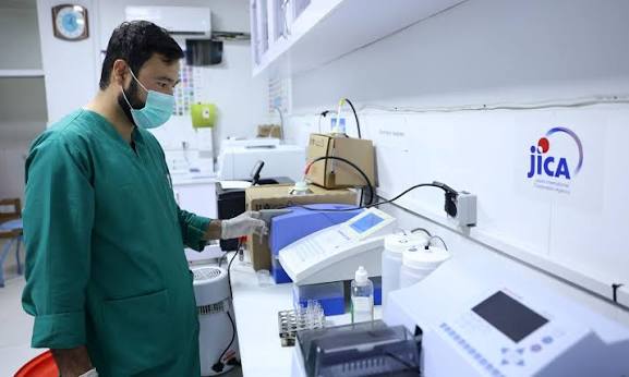 WHO highlights cybersecurity as a growing health security priority