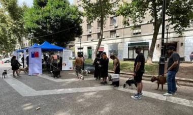 Chile becomes first country in South America validated for eliminating dog-transmitted rabies as a public health problem