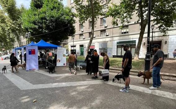 Chile becomes first country in South America validated for eliminating dog-transmitted rabies as a public health problem
