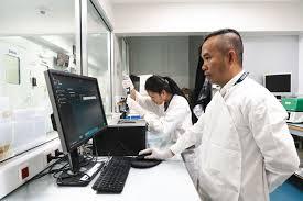 New WHO report calls for stronger ethics oversight of AI-related health research