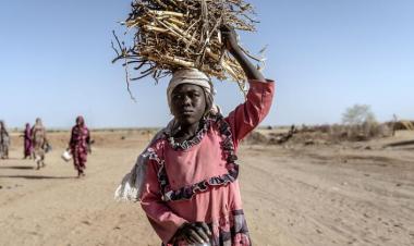 Darfur: Healthcare needs outstrip resources as Security Council extends Sudan sanctions