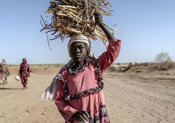 Darfur: Healthcare needs outstrip resources as Security Council extends Sudan sanctions
