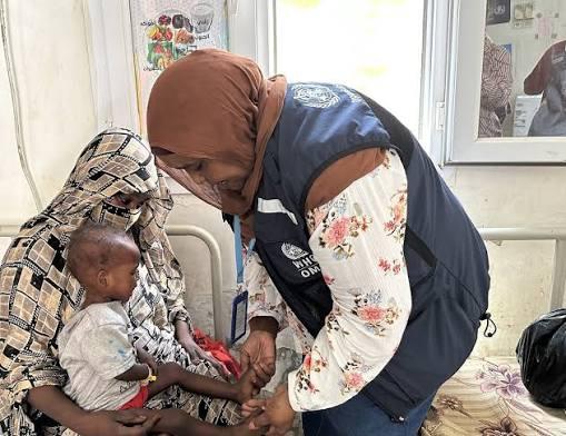 IPC Sudan Food Insecurity and Malnutrition Alert