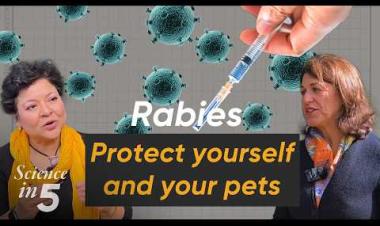 WHO's Science in Five - Rabies: Protect Yourself and Your Pets 