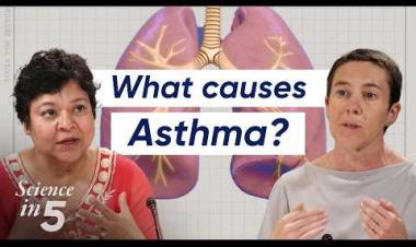 WHO's Science in Five: Asthma and you