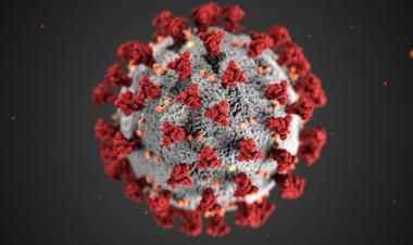 هل أمريكا مستعدة لبدء مرحلة التعافي التالية من فيروس كورونا؟