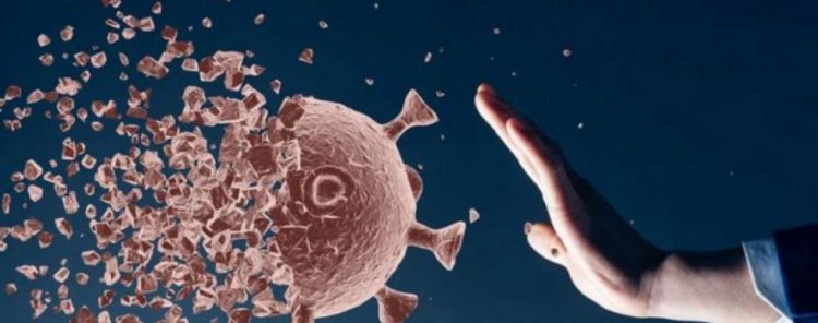 علماء صينيون يصممون كوكتيلا من الأجسام المضادة لعلاج كورونا