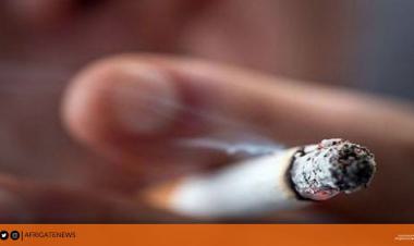 الصحة العالمية: نسبة المدخنين في تونس الأعلى في منطقة شرق المتوسط