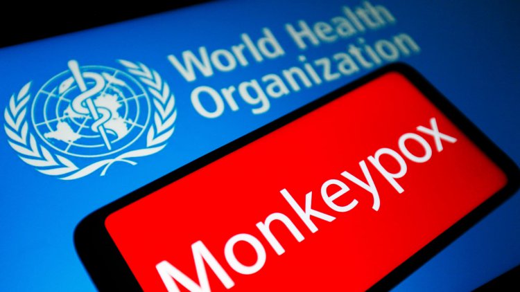 WHO says monkeypox does not constitute a global public health emergency