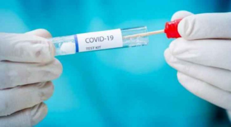 Palestine records 290 new coronavirus cases, two deaths