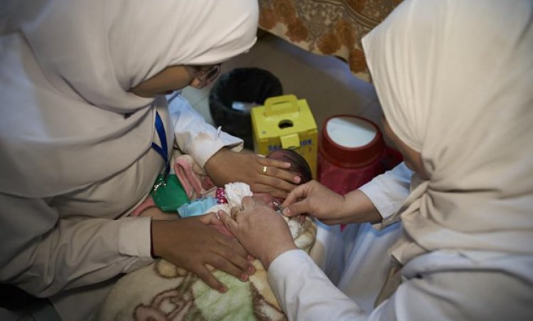 Egypt's Health Ministry: No monkeypox cases detected in Egypt so far