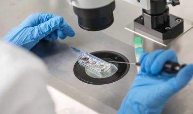 Technology and innovation improve success in IVF and IUI