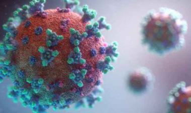 Jordan confirms five deaths and 5,939 coronavirus cases in one week
