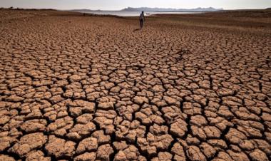 Drought Tightens Its Grip on Morocco