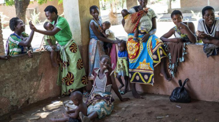 دراسة: أجسام مضادة جديدة ضد الملاريا يمكنها حماية النساء الحوامل والأطفال