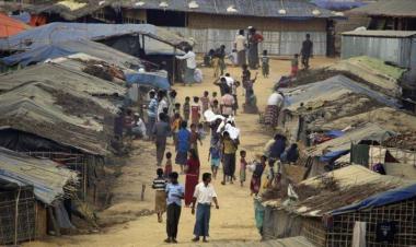 Poor sanitation in Bangladesh's Rohingya camps breeding dengue mosquitos