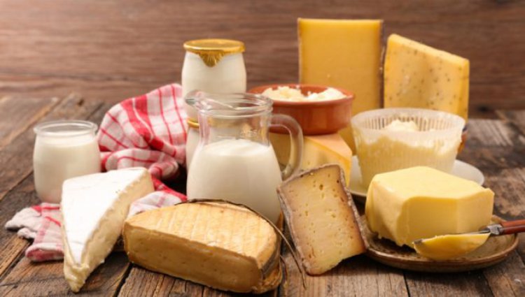 Study shows Brucella problem for raw dairy products in Tunisia