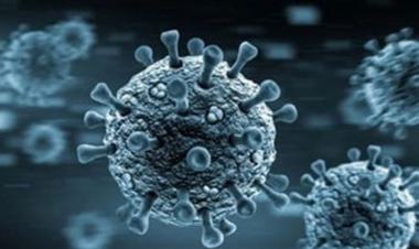 Ministry of Health confirms 181 new Coronavirus cases, 2 new deaths