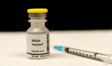 منظمة الصحة: احتمال بدء تجارب على لقاحات ضد إيبولا في أوغندا قريباً