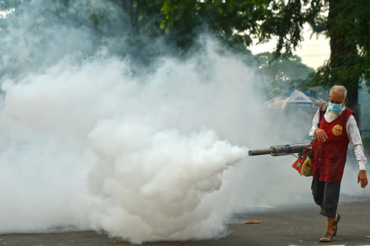 Bangladesh reports highest single-day dengue cases of 900