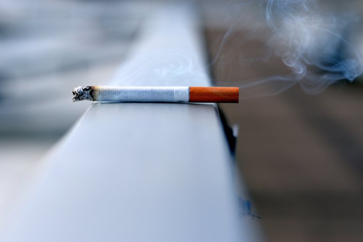 Jordanians spend more on tobacco than food, says WHO