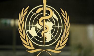 WHO aids Kuwait in mapping out national statistical health strategy