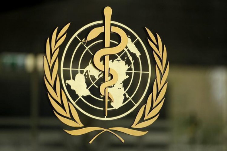 WHO aids Kuwait in mapping out national statistical health strategy